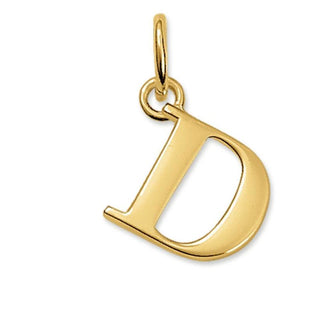 Special Addition Fancy Script Initial D Pendant with Silver Charm
